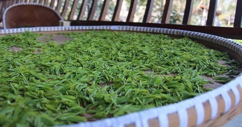 七椀居茶舍，喝西湖龍井茶感受西湖美秋季美