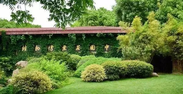 七椀居茶舍，喝西湖龍井茶感受西湖美秋季美