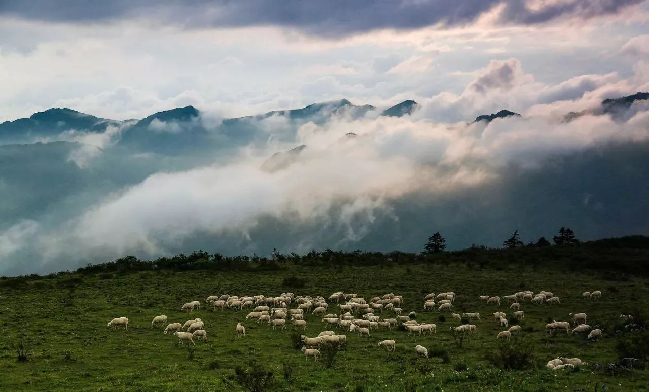 皇木鎮(zhèn)·壹間房，住進云霧間愛上一座城