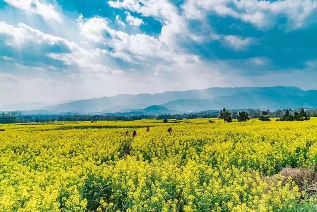 安之若宿·山，建一小屋與你晨鐘暮鼓