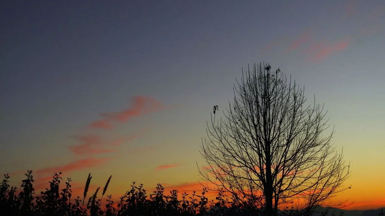 安之若宿·山，建一小屋與你晨鐘暮鼓