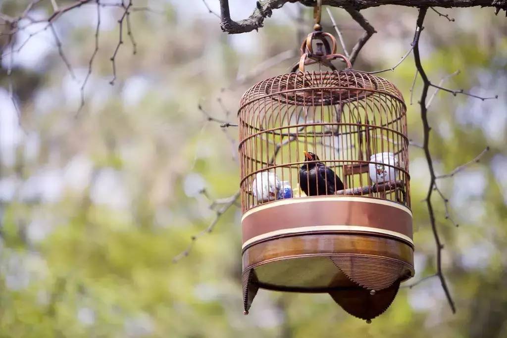 中國傳統(tǒng)文化有那些？100款中國傳統(tǒng)文化