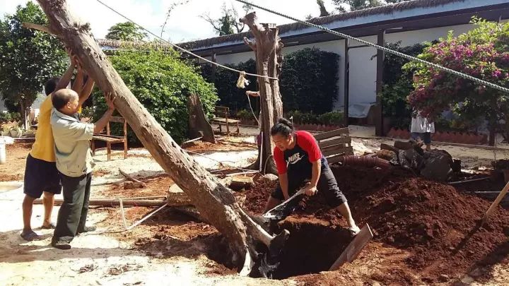 慢點(diǎn)藝術(shù)民宿，世間所有努力都是為了慢點(diǎn)