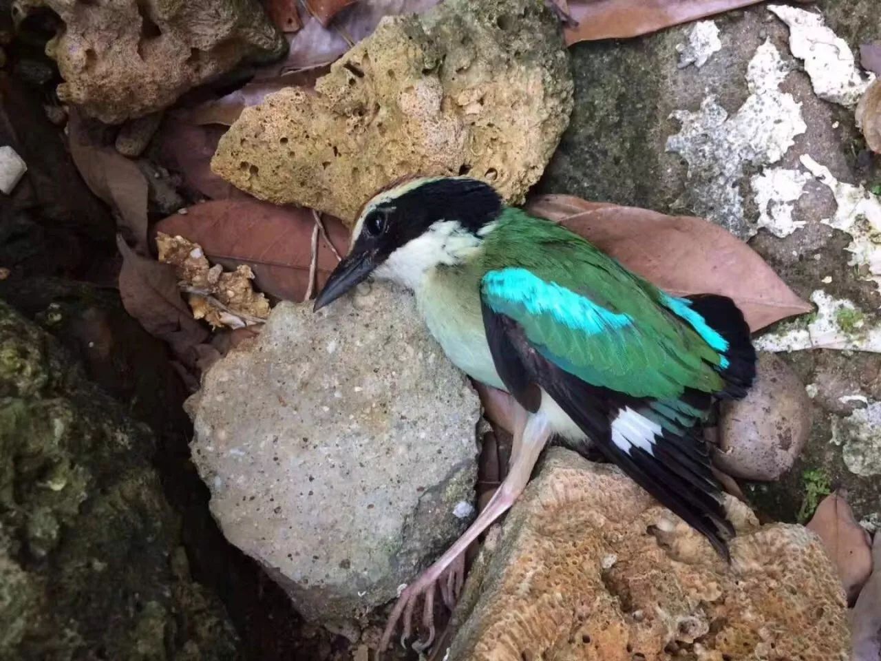 慢點藝術民宿，世間所有努力都是為了慢點