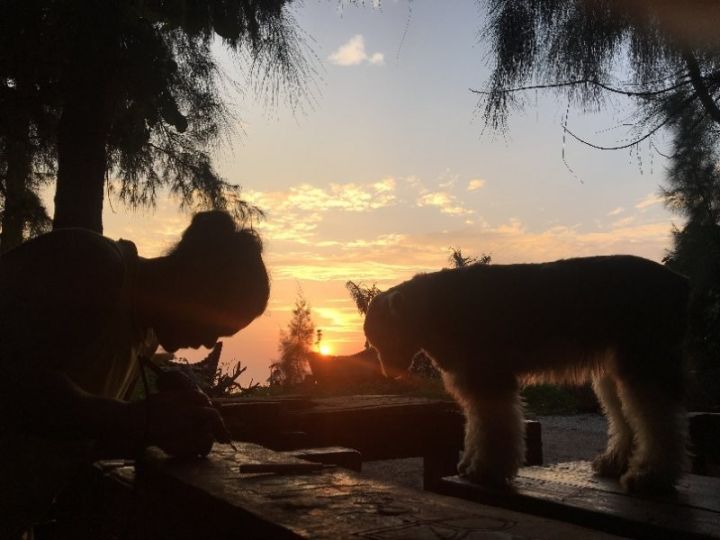 慢點(diǎn)藝術(shù)民宿，世間所有努力都是為了慢點(diǎn)