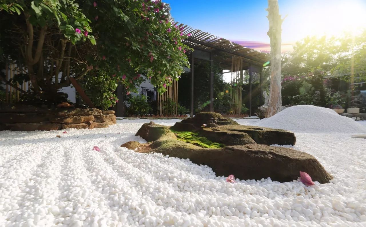 慢點藝術(shù)民宿，世間所有努力都是為了慢點