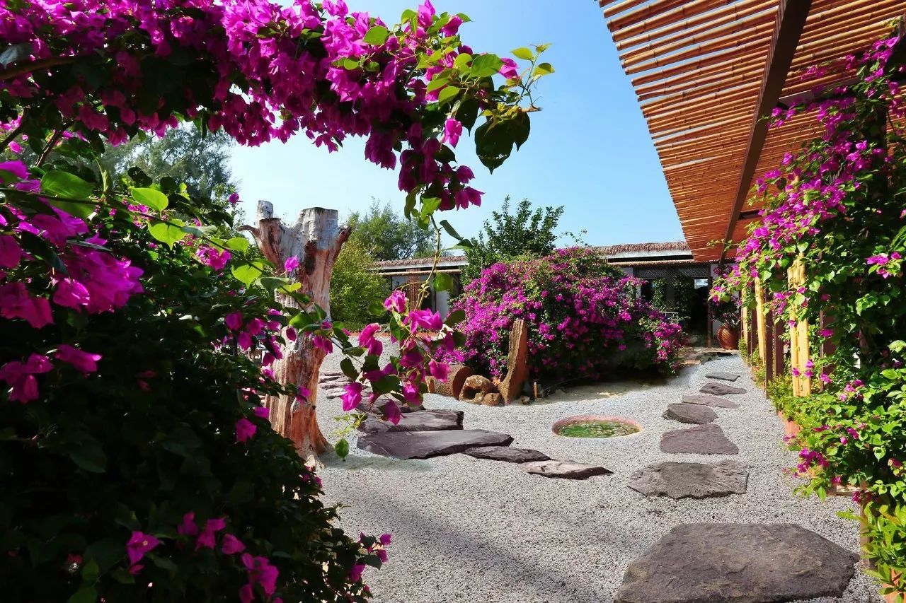 慢點藝術(shù)民宿，世間所有努力都是為了慢點