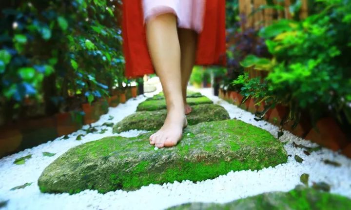 慢點藝術(shù)民宿，世間所有努力都是為了慢點