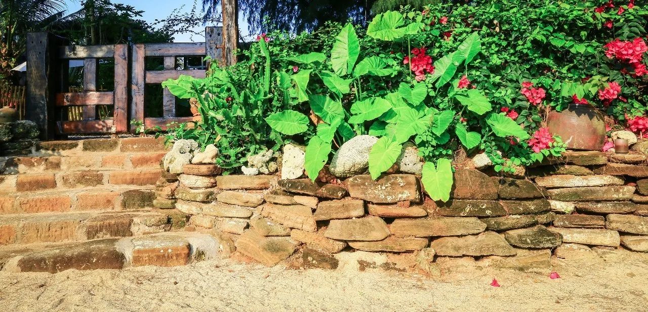 慢點藝術(shù)民宿，世間所有努力都是為了慢點