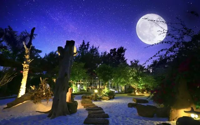 慢點藝術(shù)民宿，世間所有努力都是為了慢點