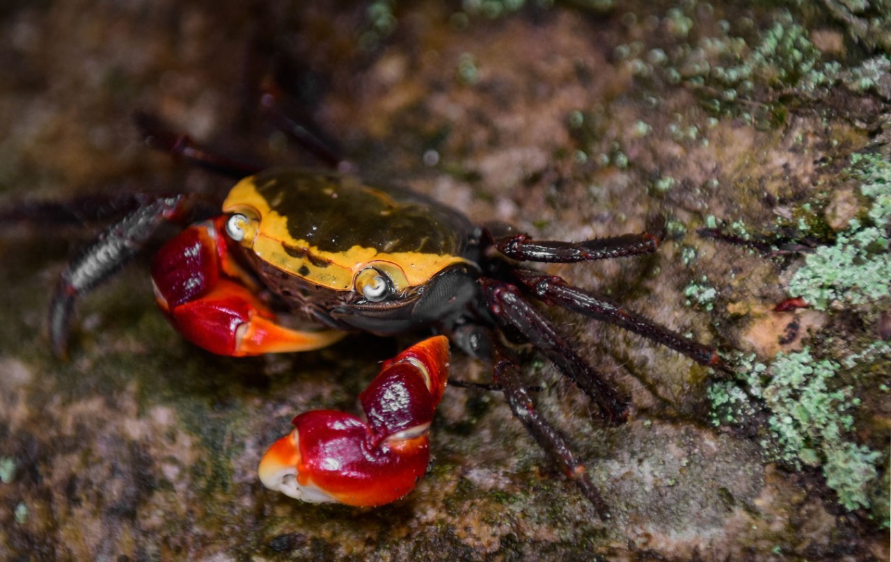 寧波·走點灣路，人生總需要走點彎路才能柳暗花