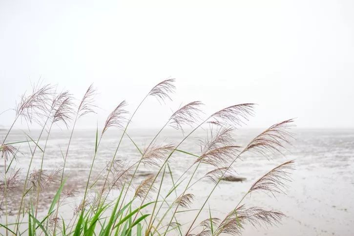 寧波·走點灣路，人生總需要走點彎路才能柳暗花