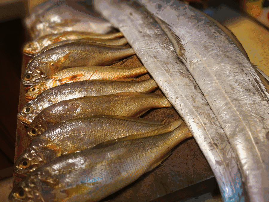 寧波·走點(diǎn)灣路，人生總需要走點(diǎn)彎路才能柳暗花