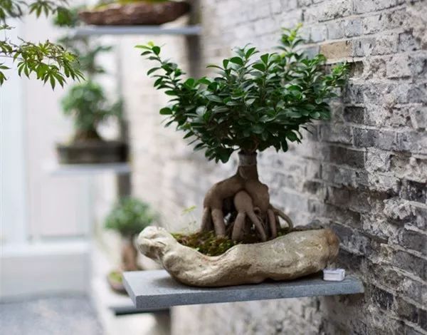 上?！ゅ\上云宿，傳播傳統(tǒng)文化讓老宅重獲新靈魂