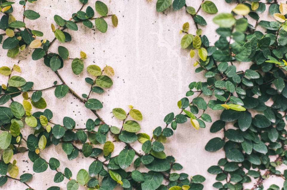 杭州·棲遲，還是那個(gè)獨(dú)一無(wú)二的黑白灰