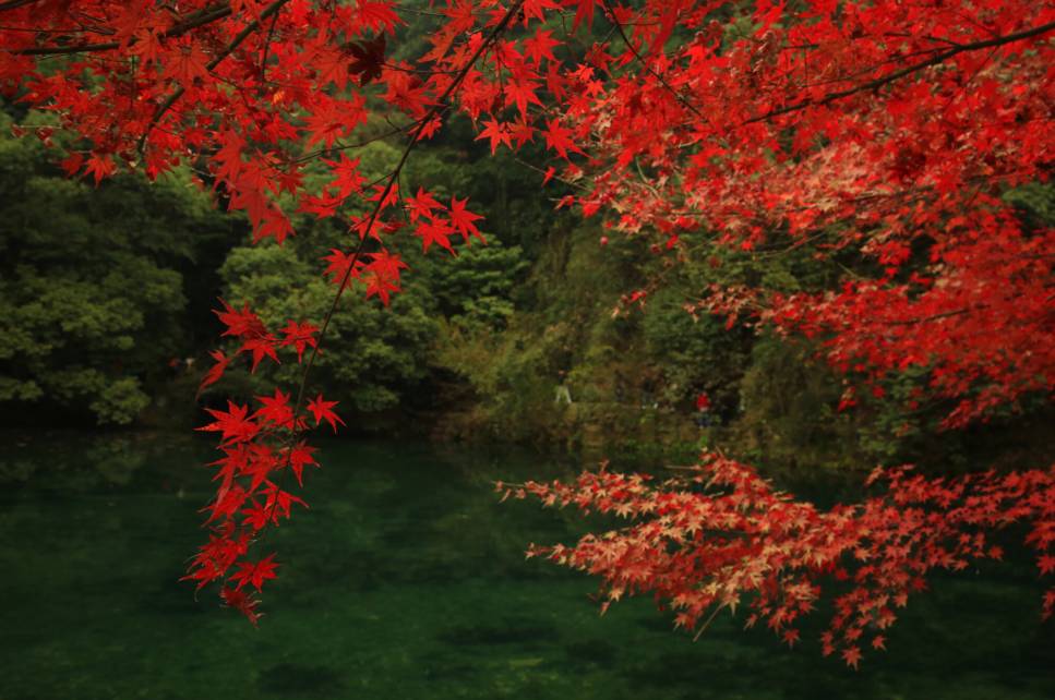 杭州·棲遲，還是那個(gè)獨(dú)一無二的黑白灰