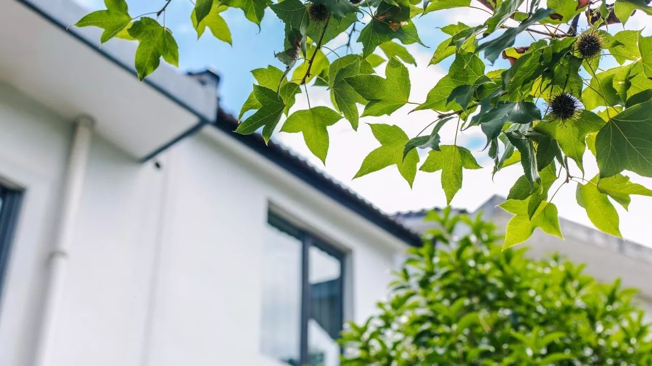 杭州·棲遲，還是那個(gè)獨(dú)一無二的黑白灰