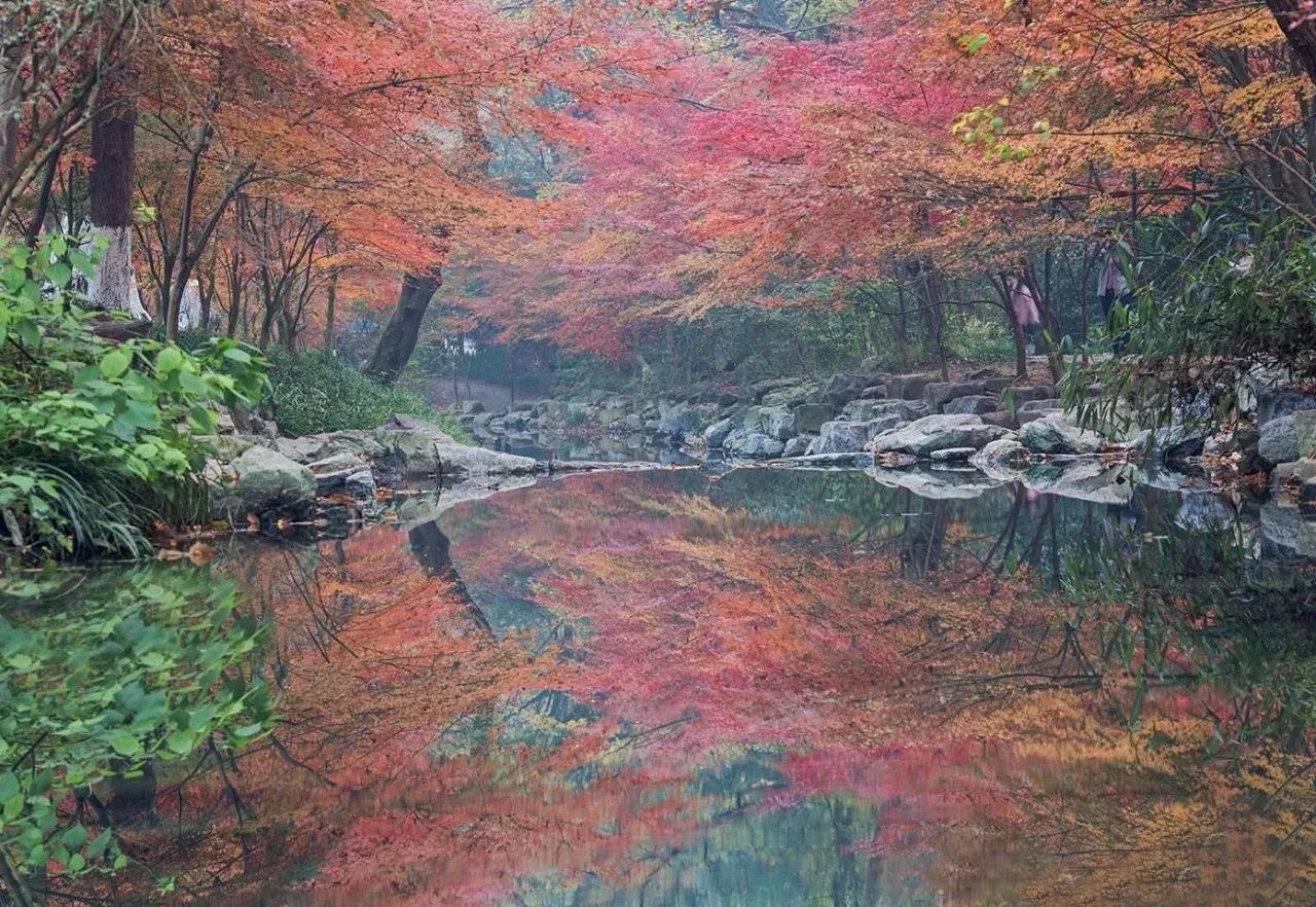 杭州·棲遲，還是那個(gè)獨(dú)一無二的黑白灰