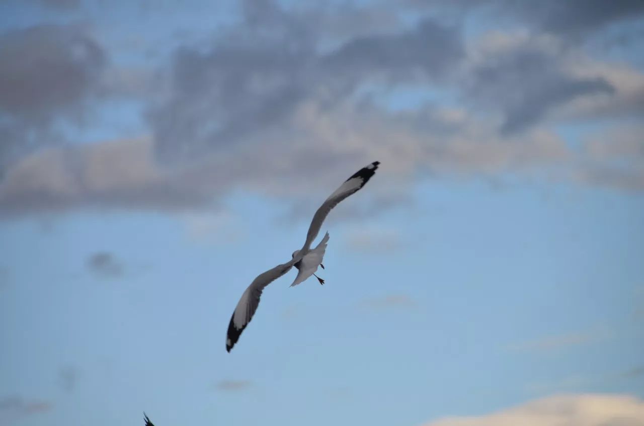瀘沽湖·野火集，時光匆忙別錯過年輕的瘋狂