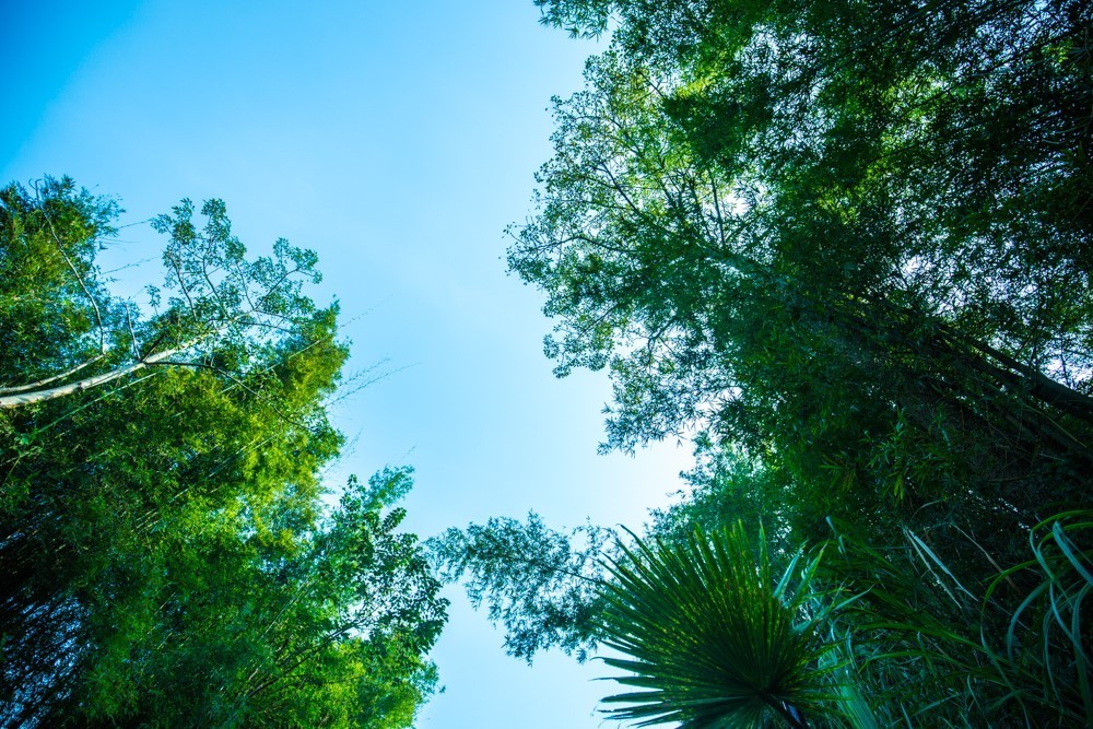 時光島，一間讓“時光倒流”300畝獨島民宿