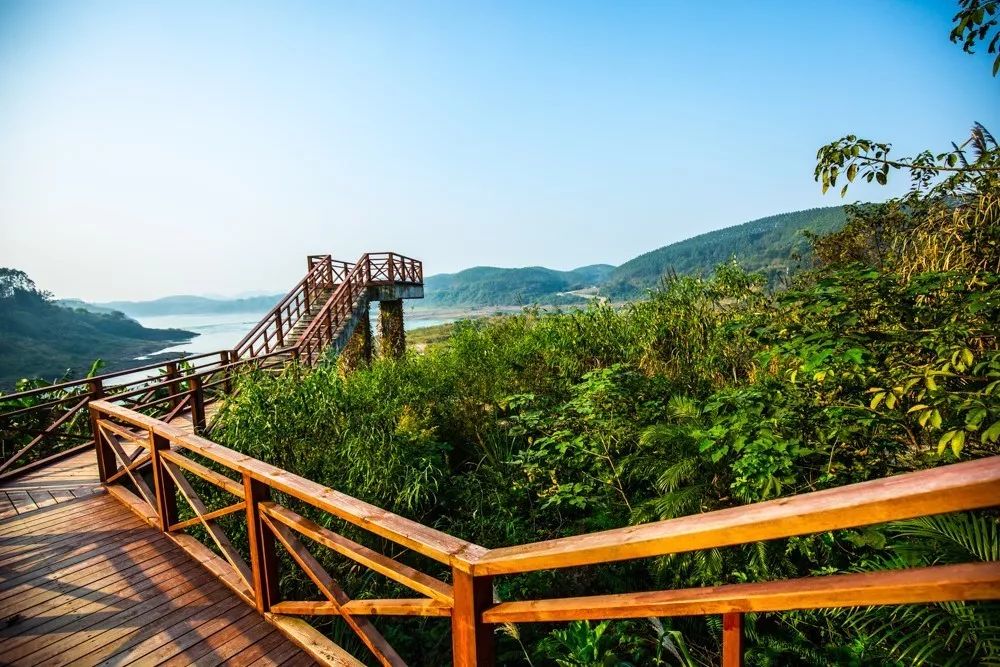時光島，一間讓“時光倒流”300畝獨島民宿