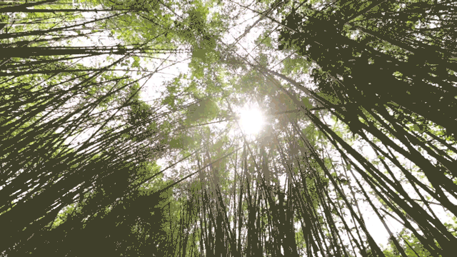 時(shí)光島，一間讓“時(shí)光倒流”300畝獨(dú)島民宿