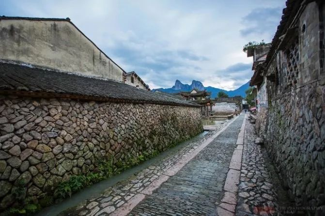 麗水·云逸遠山，在牡丹亭有個仲夏夜之夢