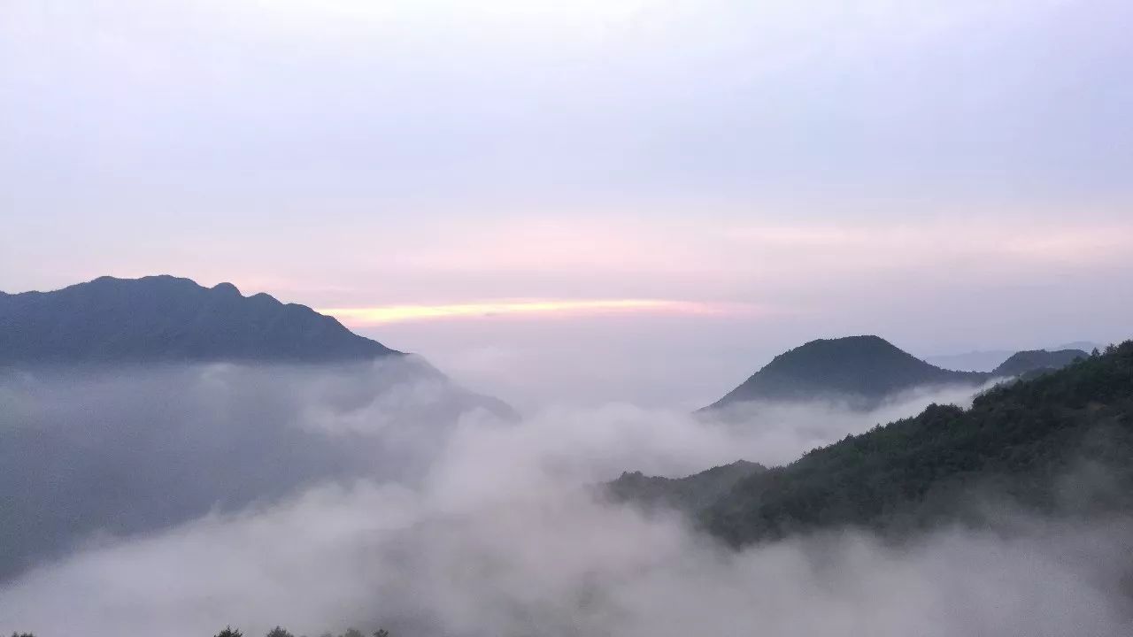 麗水·云逸遠山，在牡丹亭有個仲夏夜之夢
