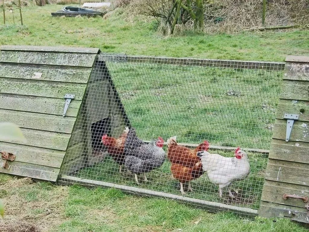 驚呆了，雞窩豬舍馬廄牛棚羊圈變民宿!