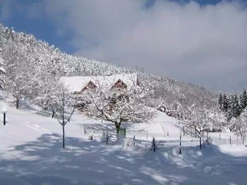 驚呆了，雞窩豬舍馬廄牛棚羊圈變民宿!
