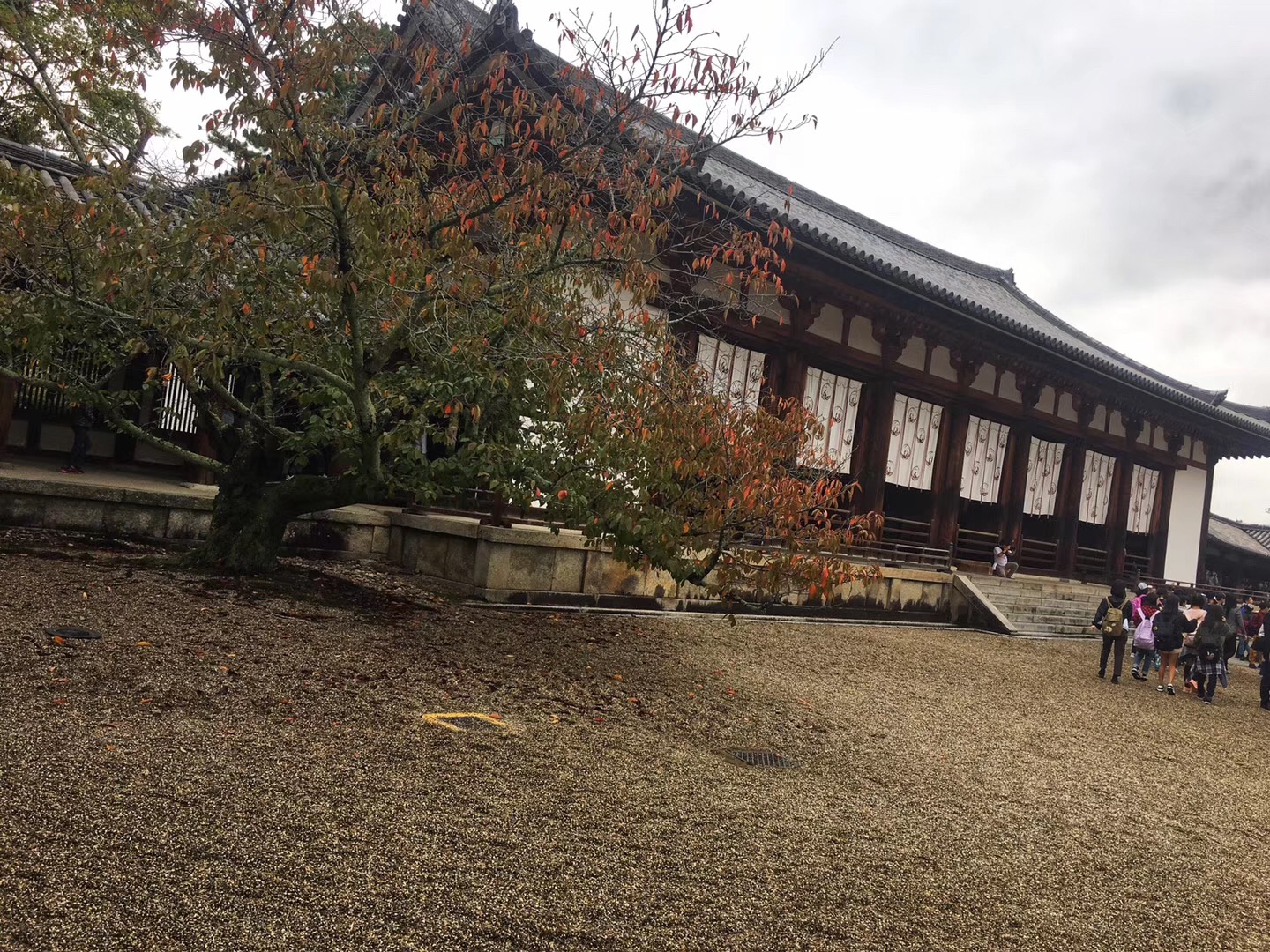 奈良·法隆寺，唐昭提寺佛教圖片