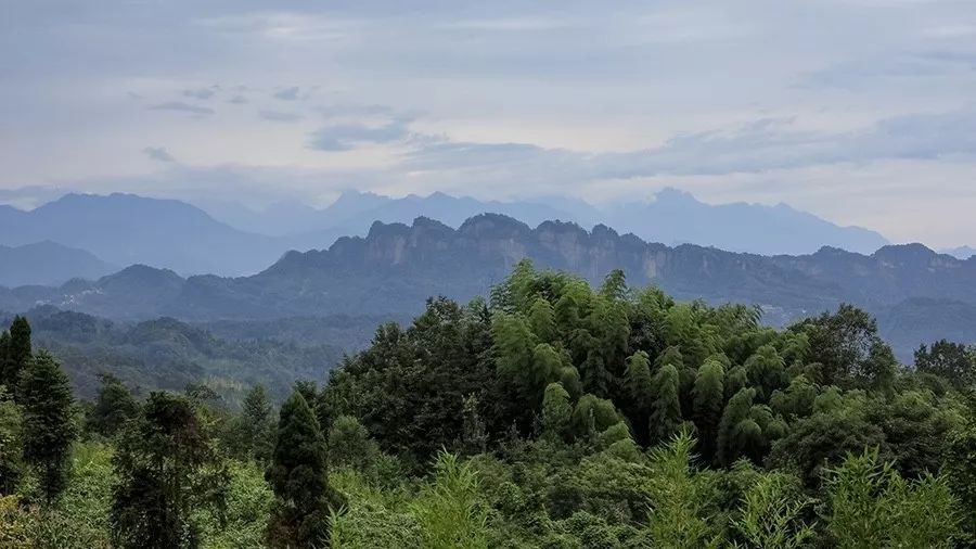 青城山·路之青城，山溝里的豬圈民宿