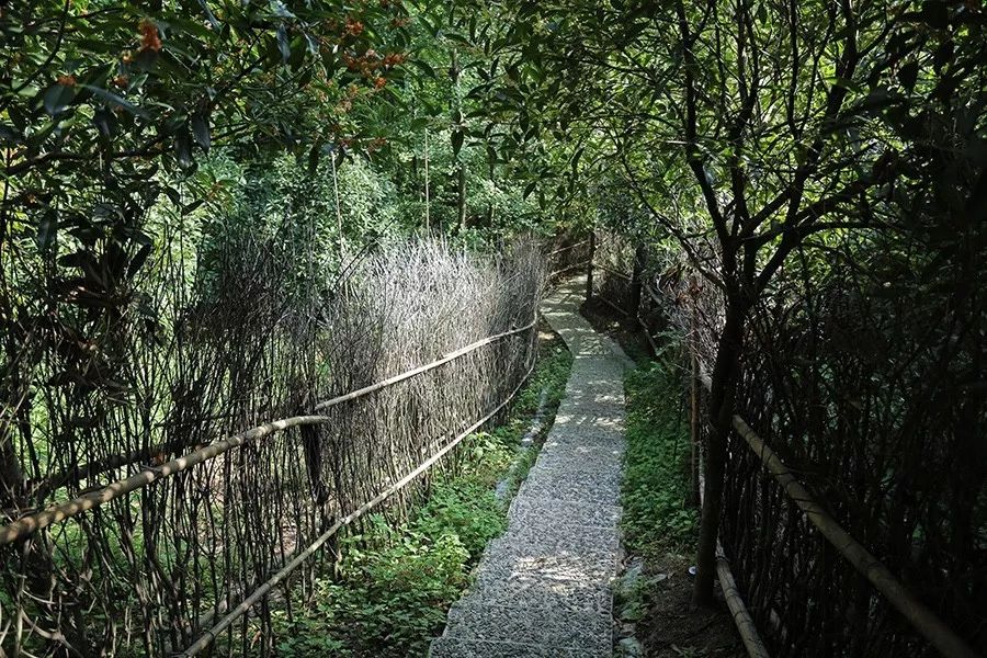 青城山·路之青城，山溝里的豬圈民宿