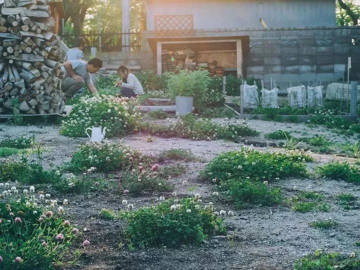 北海道的海濱小鎮(zhèn)，一家四口的日子才最幸福