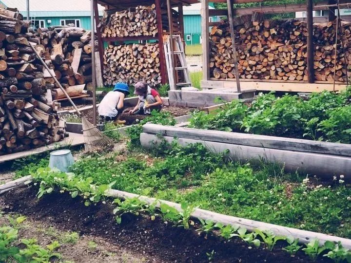 北海道的海濱小鎮(zhèn)，一家四口的日子才最幸福