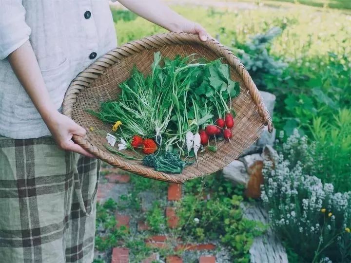 北海道的海濱小鎮(zhèn)，一家四口的日子才最幸福