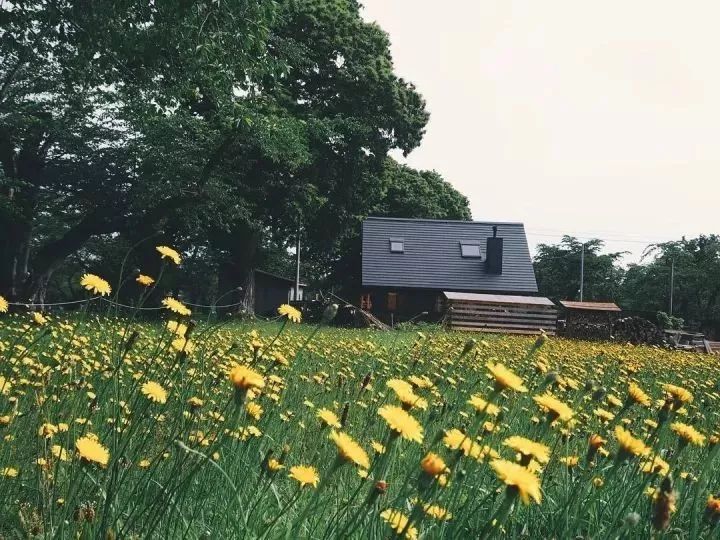 北海道的海濱小鎮(zhèn)，一家四口的日子才最幸福