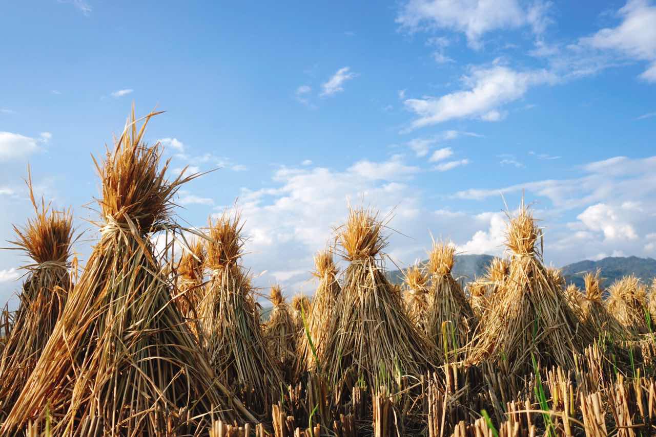 漫宿·見山，在古鎮(zhèn)享受寧靜而恬淡的時(shí)光