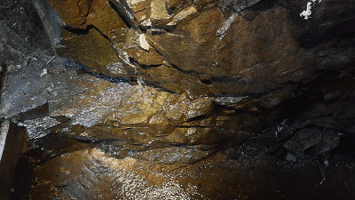 莫干山·趣舍一棵樹，置身山中與山林萬物相連