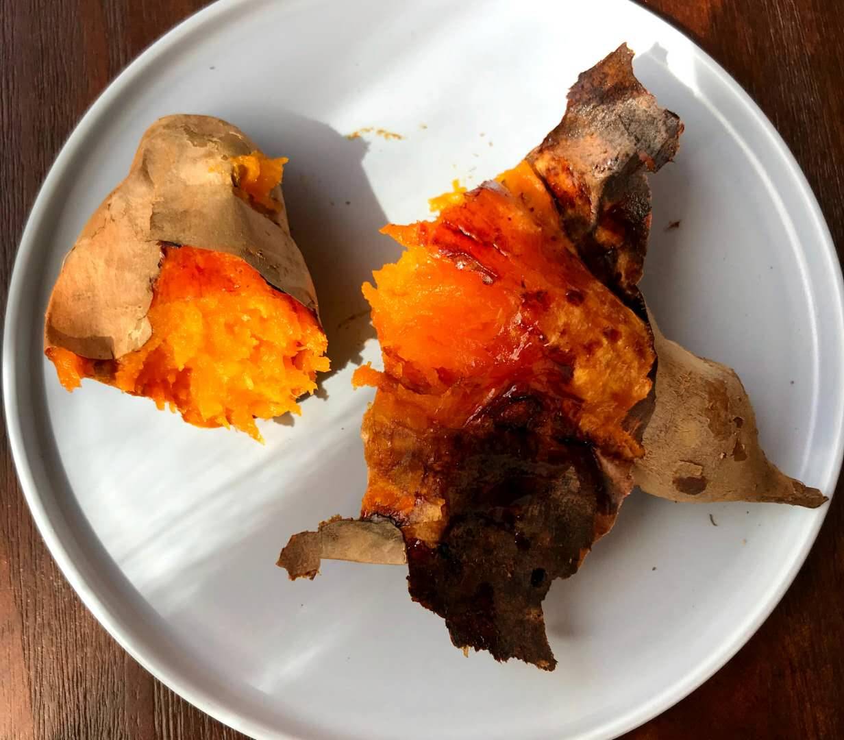 莫干山·趣舍一棵樹，置身山中與山林萬物相連