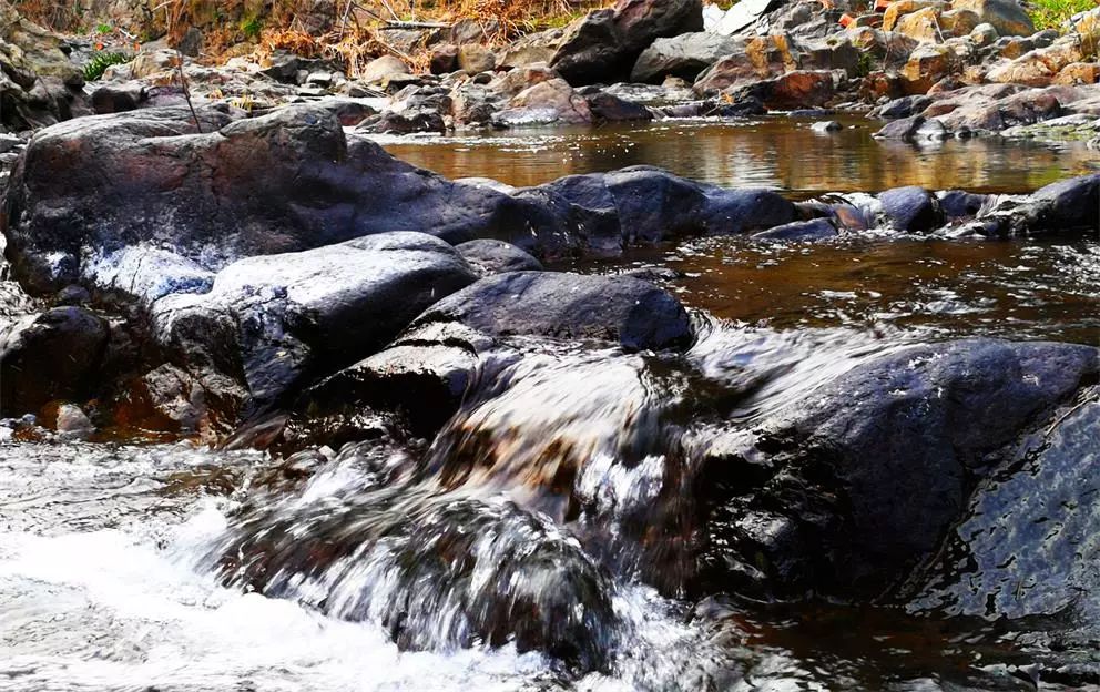 莫干山·趣舍一棵樹，置身山中與山林萬(wàn)物相連