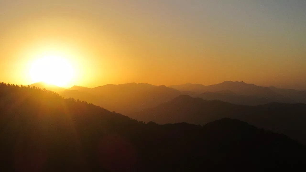 莫干山·趣舍一棵樹，置身山中與山林萬(wàn)物相連