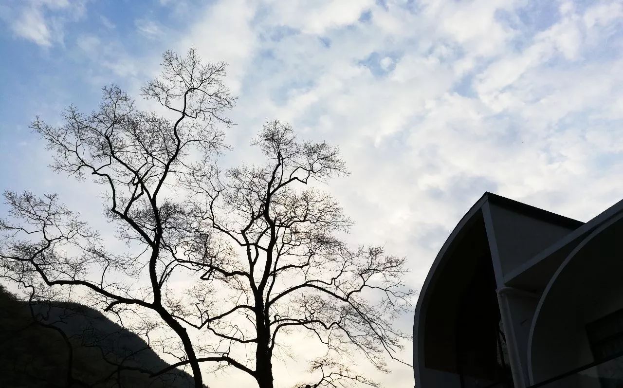 莫干山·趣舍一棵樹，置身山中與山林萬(wàn)物相連