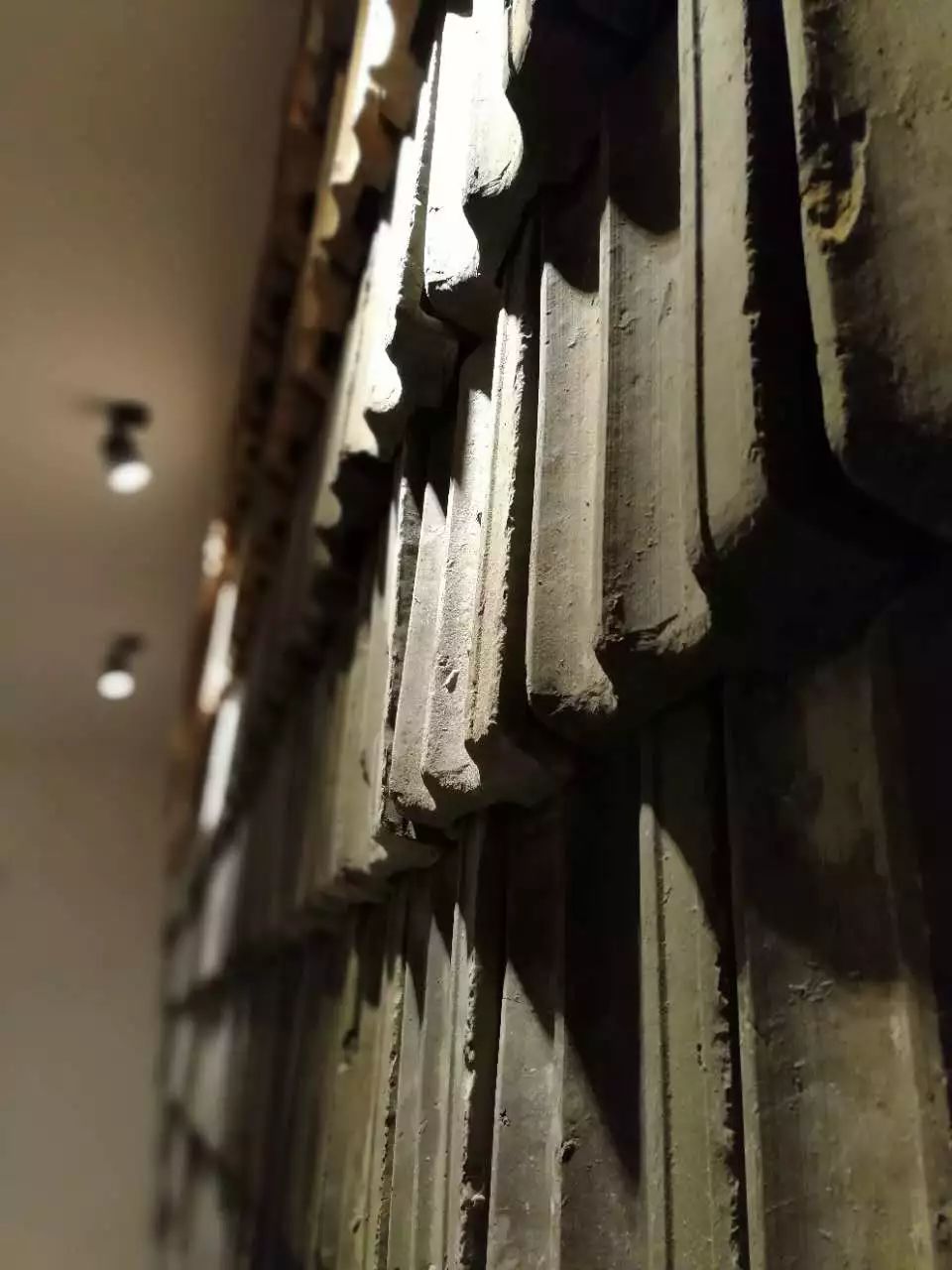 莫干山·趣舍一棵樹，置身山中與山林萬物相連