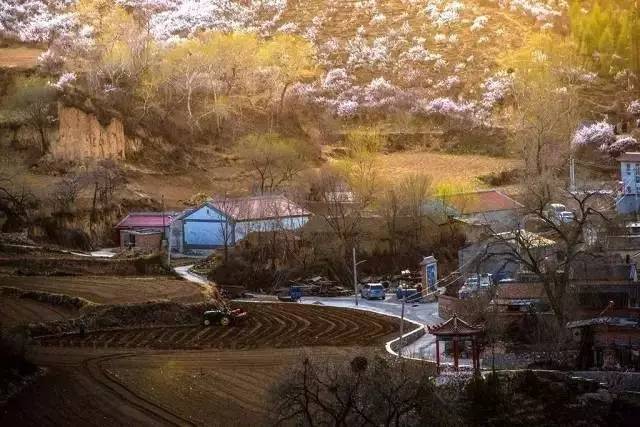 北京·山楂小院，留住最土的鄉(xiāng)味和溫暖的人心