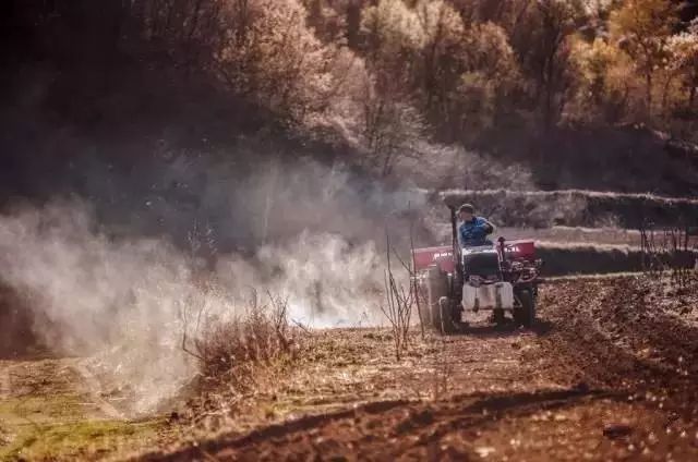 北京·山楂小院，留住最土的鄉(xiāng)味和溫暖的人心