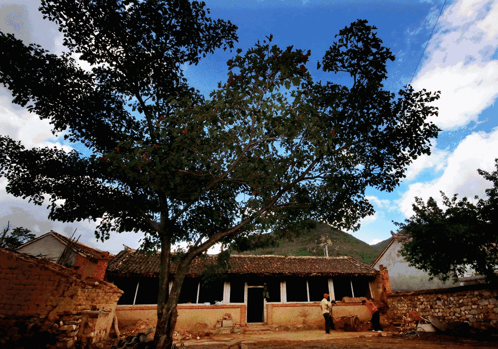 北京·山楂小院，留住最土的鄉(xiāng)味和溫暖的人心