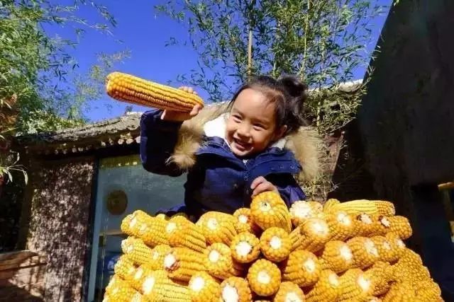 北京·山楂小院，留住最土的鄉(xiāng)味和溫暖的人心