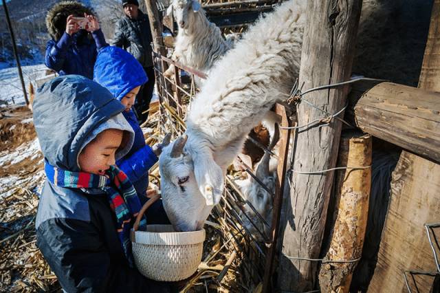北京·山楂小院，留住最土的鄉(xiāng)味和溫暖的人心