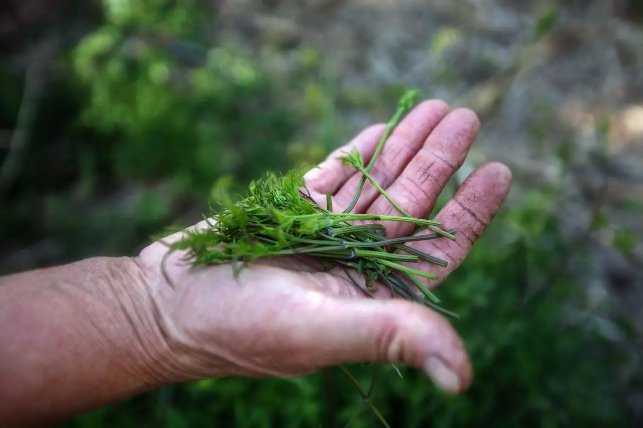 北京·山楂小院，留住最土的鄉(xiāng)味和溫暖的人心